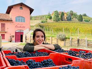 Poderi moretti cantina aperta per visita guidata e degustazione pregiati vini di alba lang